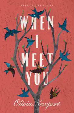 when i meet you book cover image