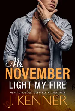 light my fire book cover image
