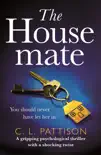 The Housemate synopsis, comments