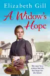 A Widow's Hope sinopsis y comentarios
