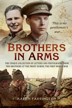 brothers in arms book cover image