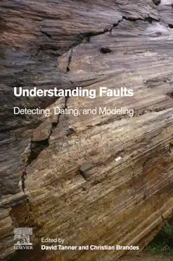understanding faults book cover image