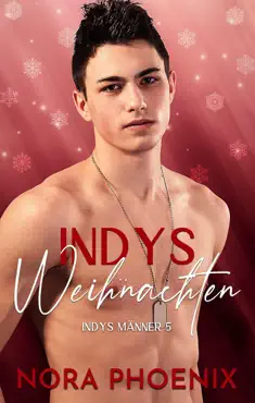indys weihnachten book cover image