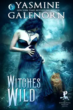witches wild book cover image