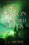 The Prison of Buried Hopes synopsis, comments