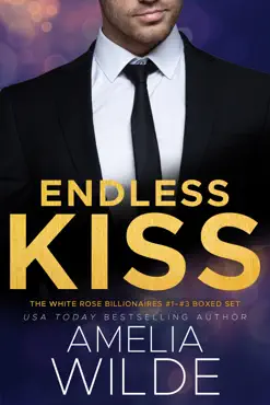 endless kiss book cover image