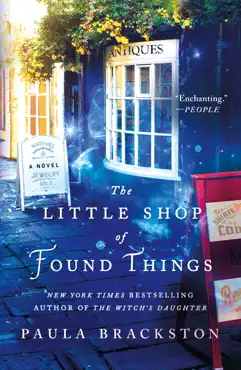 the little shop of found things book cover image