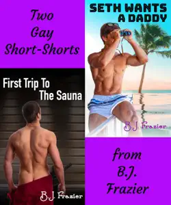 two gay short-shorts book cover image
