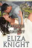 Promise of a Knight synopsis, comments