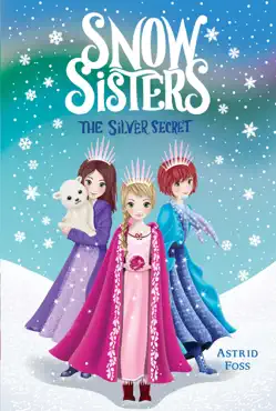 the silver secret book cover image