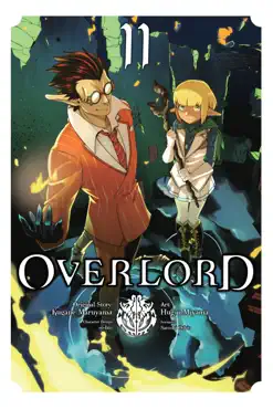 overlord, vol. 11 (manga) book cover image