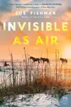 Invisible as Air synopsis, comments