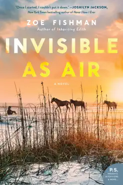 invisible as air book cover image