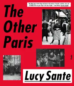 the other paris book cover image