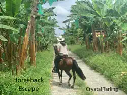 horseback escape book cover image