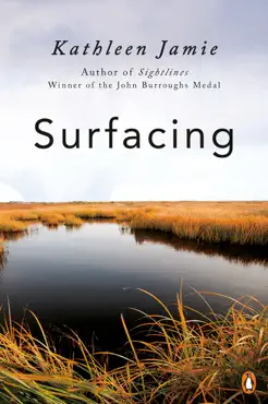 surfacing book cover image