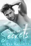 Trail of Secrets sinopsis y comentarios