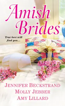 amish brides book cover image