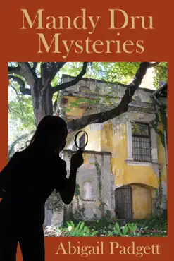 mandy dru mysteries book cover image