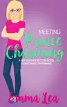 Meeting Prince Charming synopsis, comments