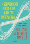 El sorprendente libro de las rarezas matemáticas sinopsis y comentarios