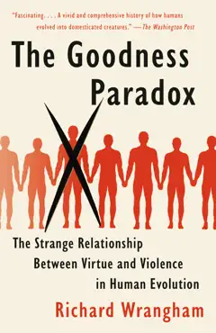 the goodness paradox book cover image
