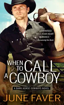 when to call a cowboy book cover image
