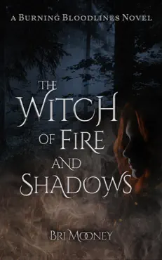 the witch of fire and shadows book cover image