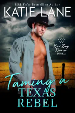 taming a texas rebel book cover image