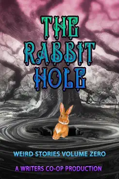 the rabbit hole volume 0 book cover image