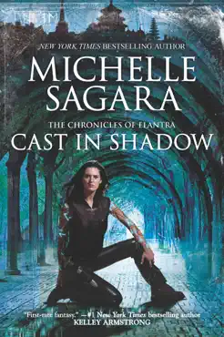 cast in shadow book cover image