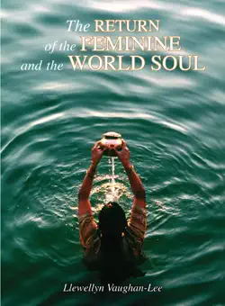 return of the feminine and the world soul book cover image