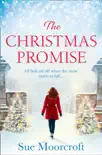 The Christmas Promise synopsis, comments