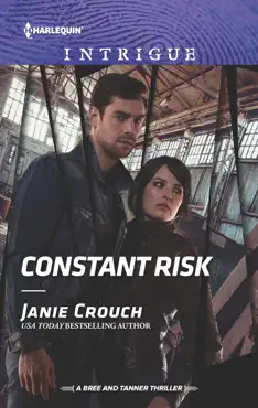 constant risk book cover image