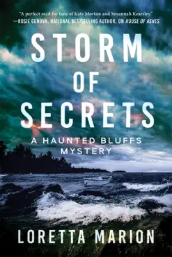 storm of secrets book cover image