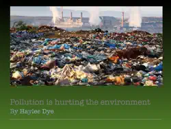 pollution is hurting the environment book cover image
