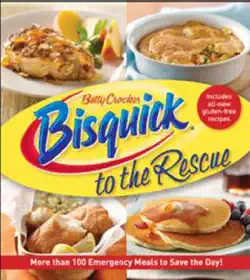 bisquick to the rescue book cover image