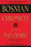 Bosnian Chronicle synopsis, comments
