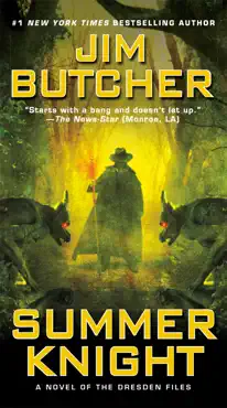 summer knight book cover image