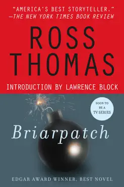 briarpatch book cover image