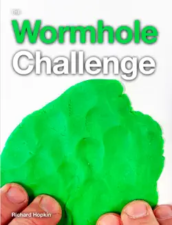 the wormhole challenge book cover image