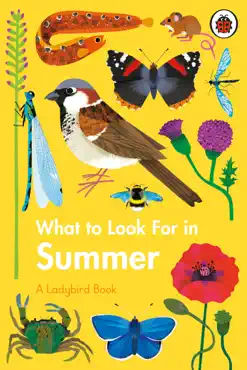 what to look for in summer book cover image