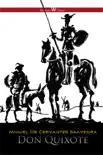Don Quixote sinopsis y comentarios