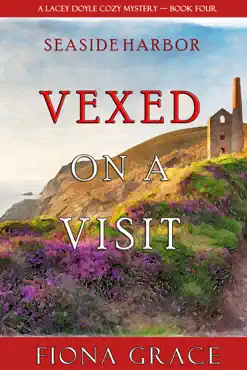vexed on a visit (a lacey doyle cozy mystery—book 4) book cover image