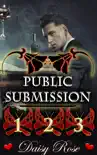 Public Submission 1 - 3 synopsis, comments