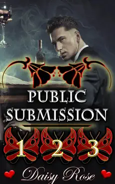public submission 1 - 3 book cover image
