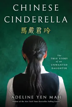 chinese cinderella book cover image