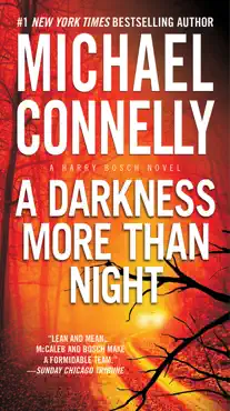 a darkness more than night book cover image