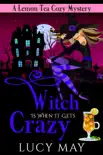 Witch Is When It Gets Crazy synopsis, comments