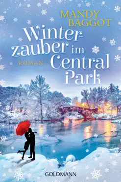 winterzauber im central park book cover image